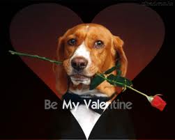 BE my valentine